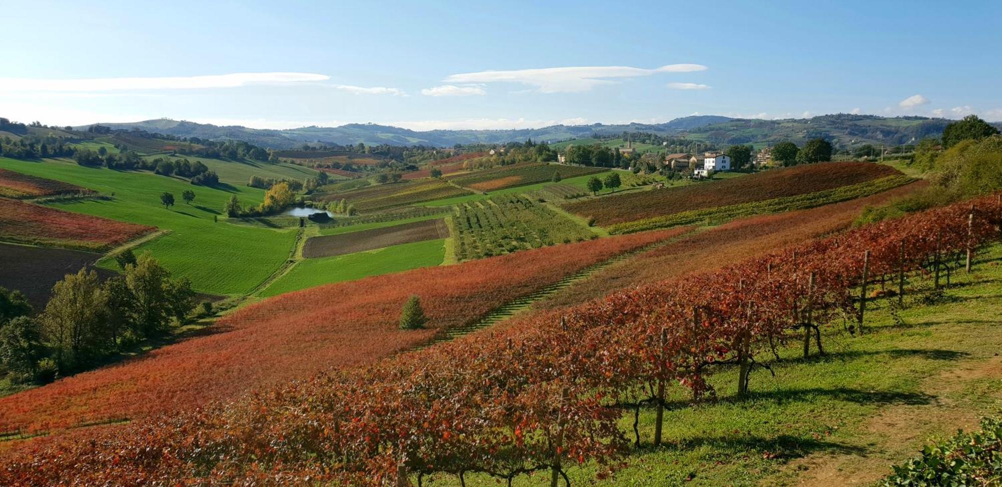 Agriturismo Opera 02 Castelvetro di Modena Exterior foto